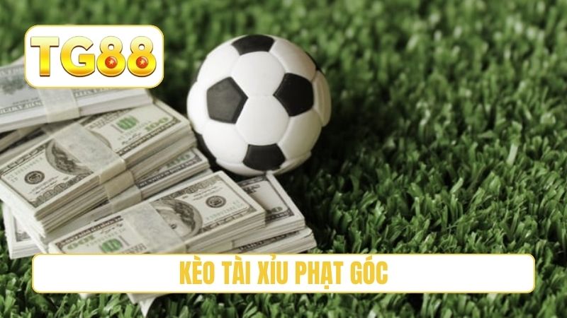 Kèo Tài Xỉu Phạt Góc - 3 Kinh Nghiệm Thực Chiến Tại TG88 1 Kèo Tài Xỉu Phạt Góc