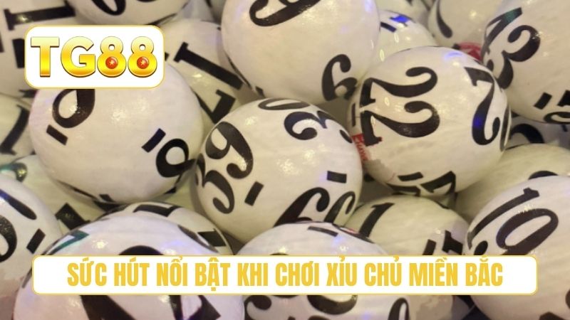 Xỉu Chủ Miền Bắc - Top 3 Bí Quyết Soi Cầu Tại TG88 2 Sức hút nổi bật khi chơi xỉu chủ miền bắc
