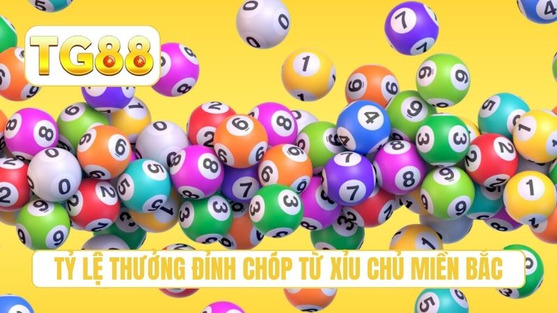 Xỉu Chủ Miền Bắc - Top 3 Bí Quyết Soi Cầu Tại TG88 4 Tỷ lệ thưởng đỉnh chóp từ xỉu chủ miền bắc
